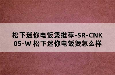 松下迷你电饭煲推荐-SR-CNK05-W 松下迷你电饭煲怎么样